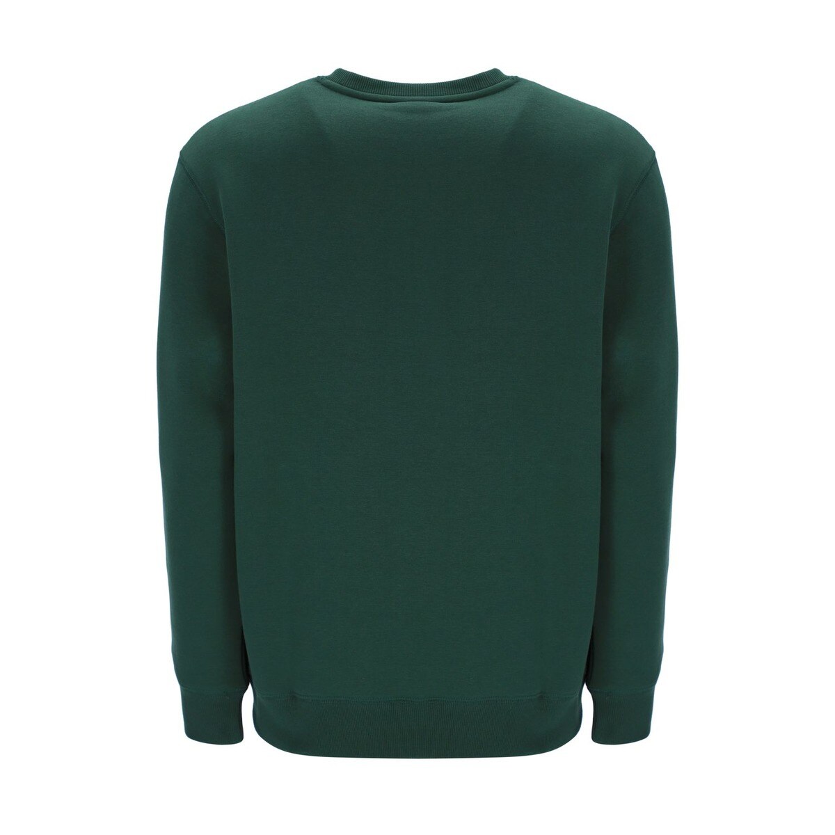 Sweatshirt de Homem Eagle R Iconic Verde-2