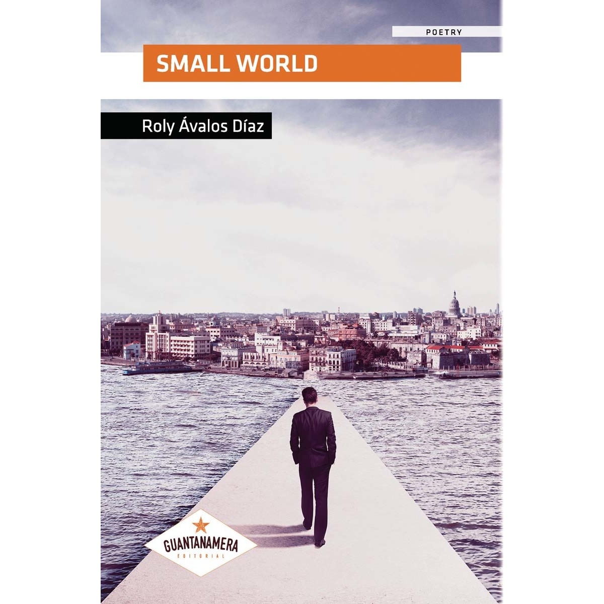 Small World (Capa mole) 1
