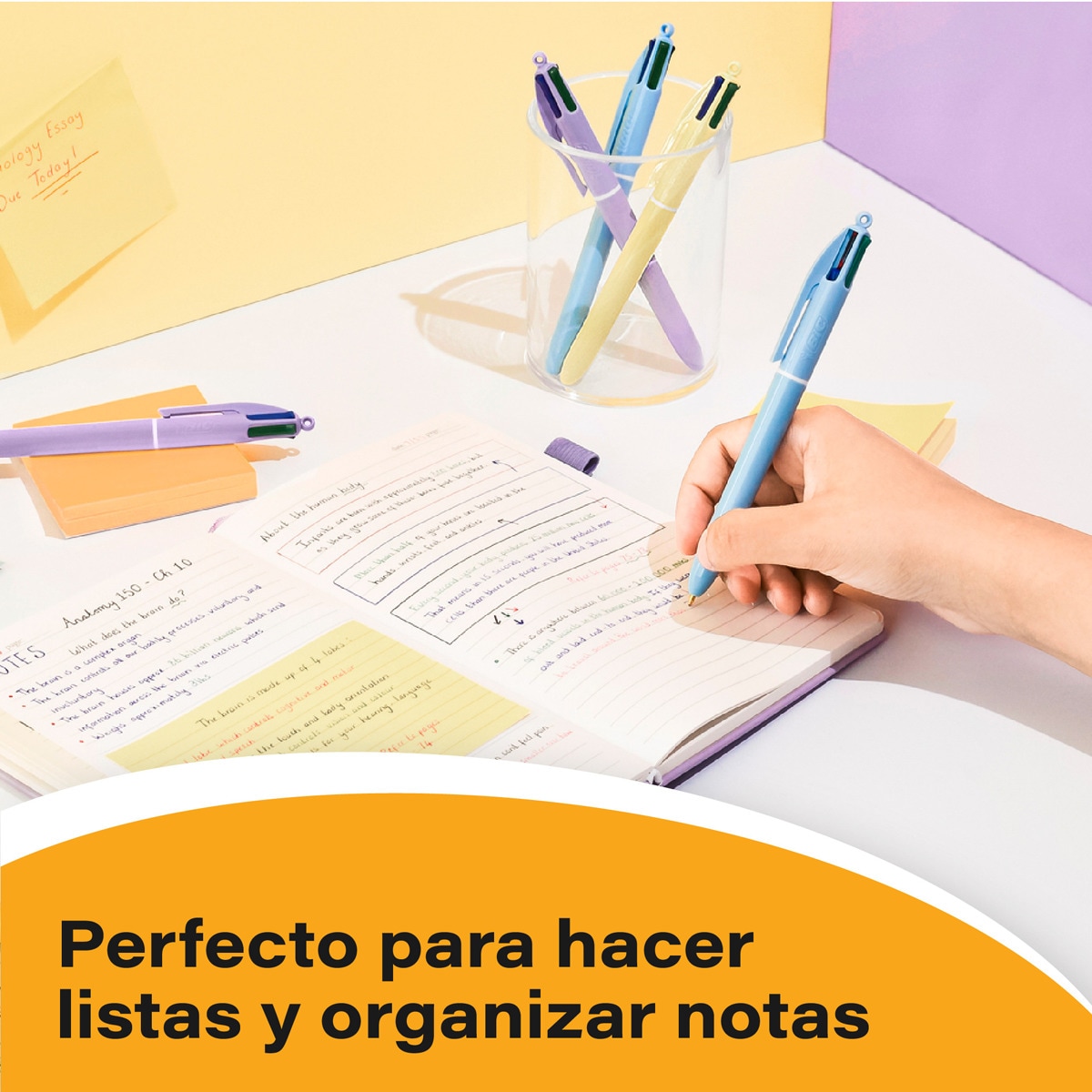 Esferográficas 4 cores pastel BIC 3 unidades 4