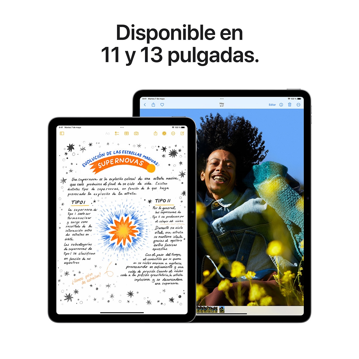 Apple iPad Air 13" (2024) M2, Wi-Fi Gris espacial-5