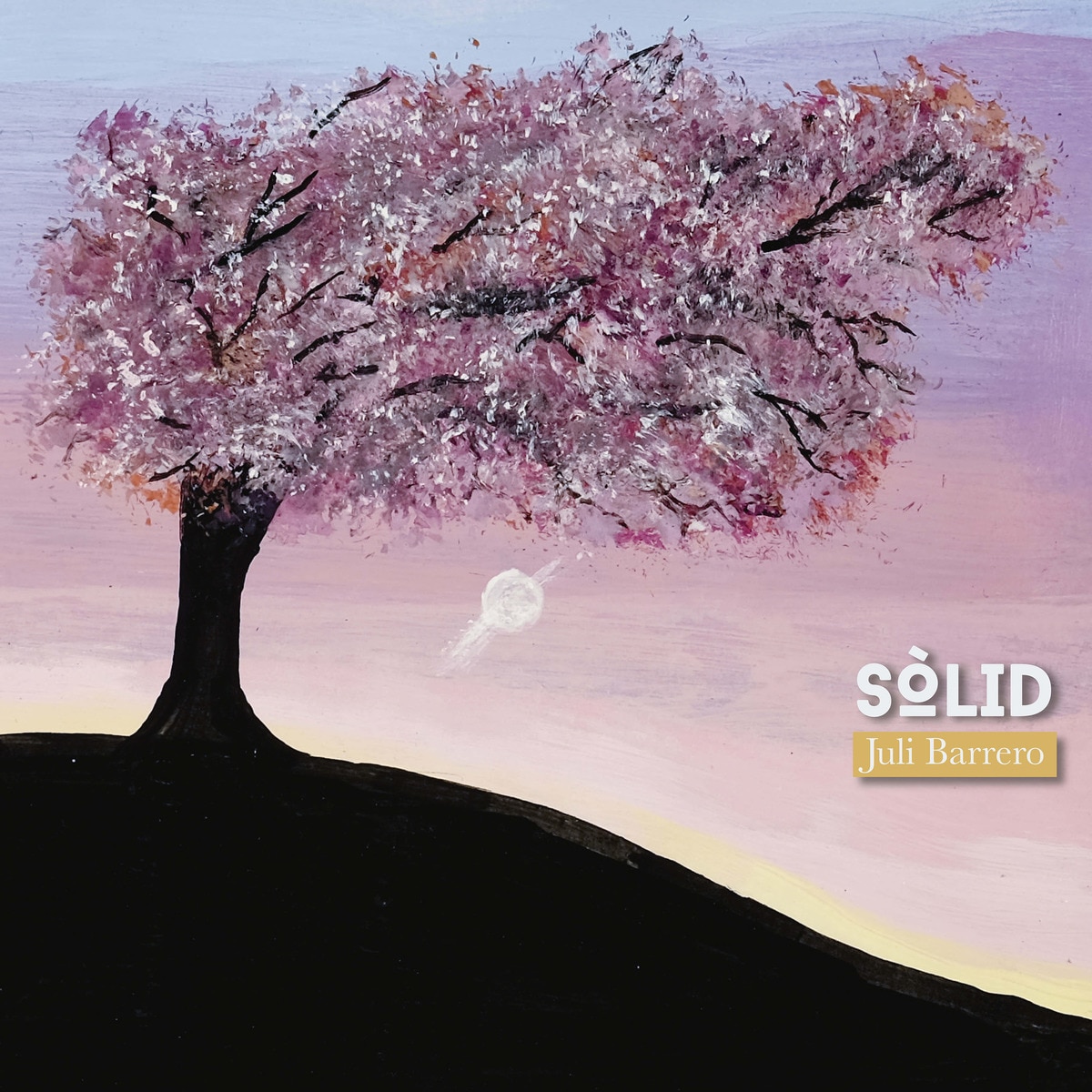 Imagen 0 de Sòlid (LP)
