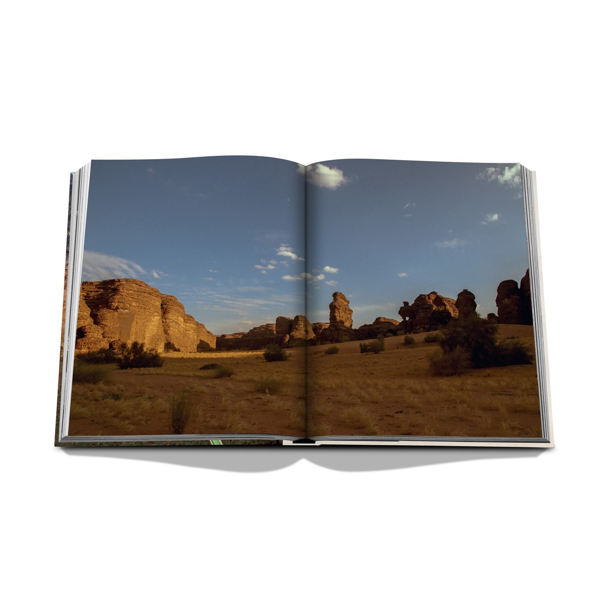 Alula flora (english) 16