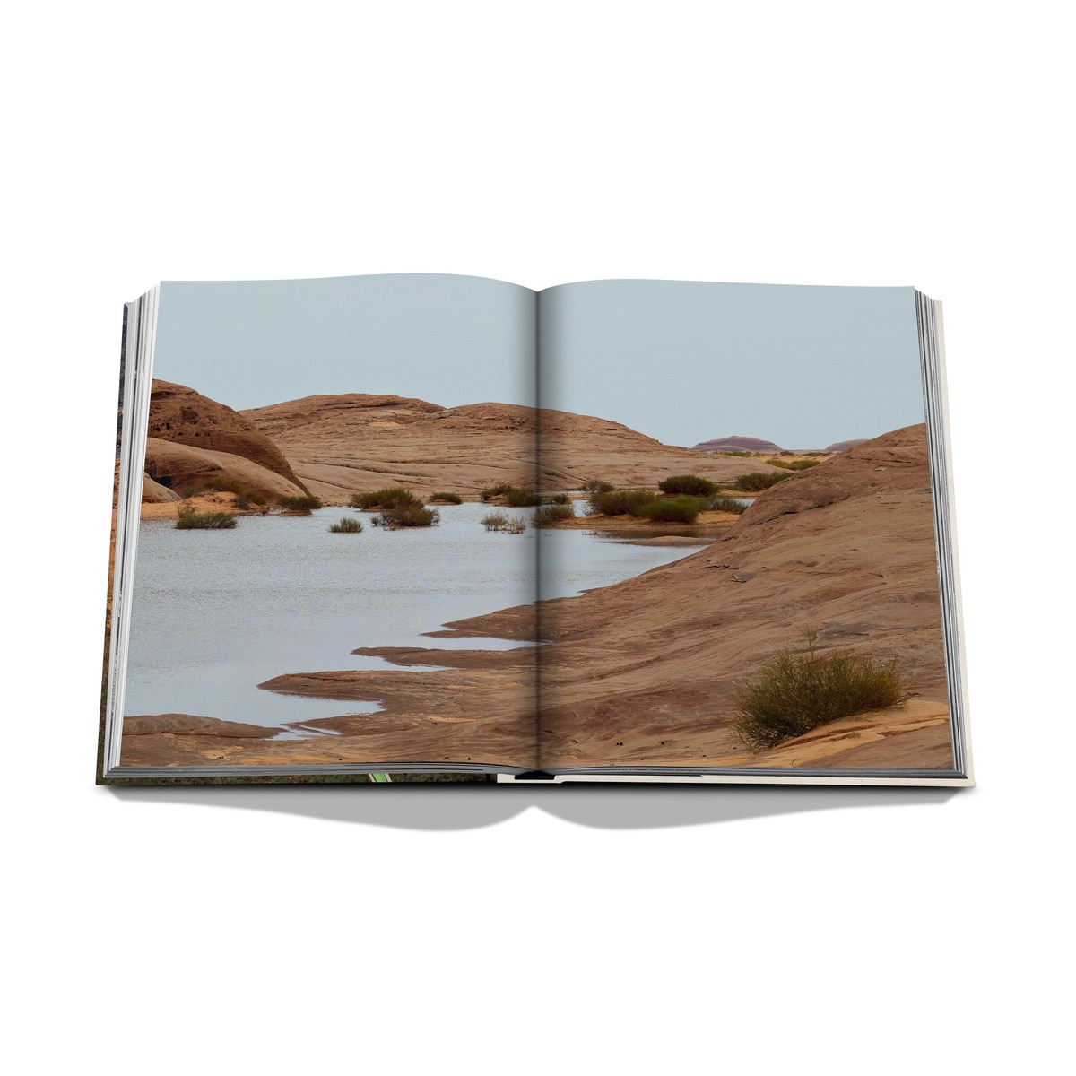 Alula flora (english) 8