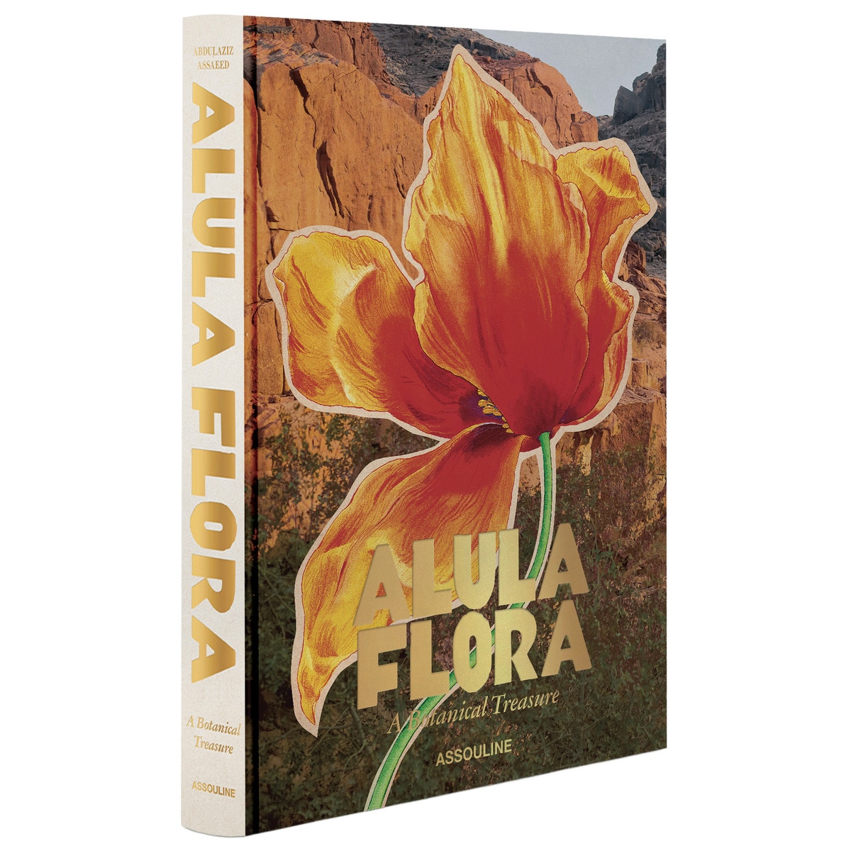Alula flora (english) 1