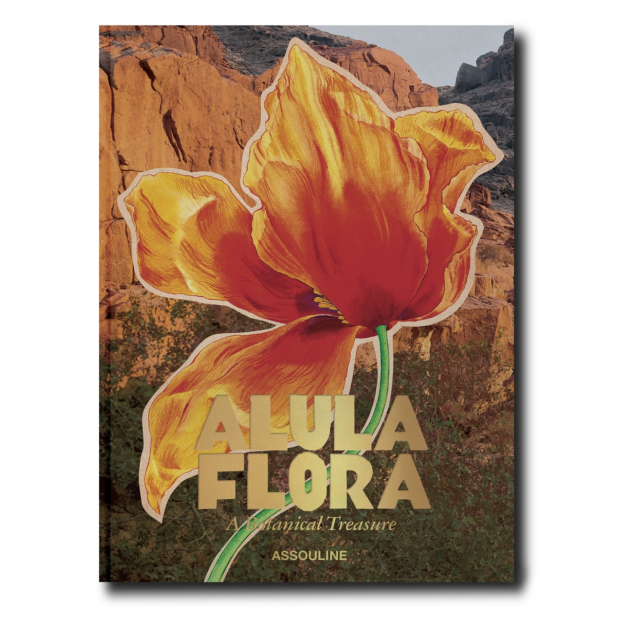 Alula flora (english) 2