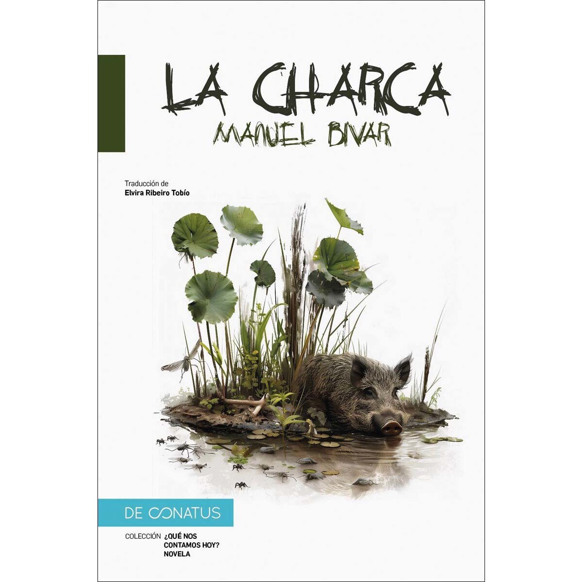 La charca (Capa mole com abas) 1