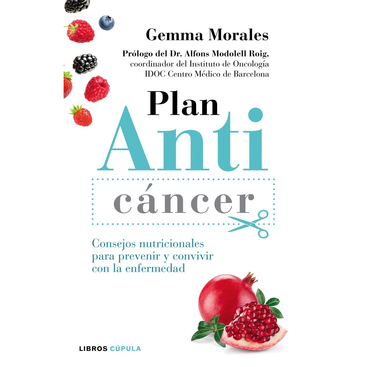 Imagen 0 de Plan anticáncer: Consejos nutricionales para prevenir y convivir con la enfermedad  (Tapa blanda con solapas)