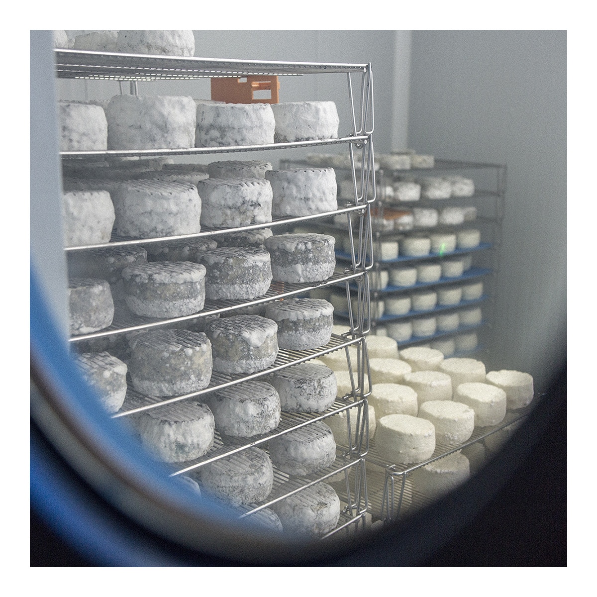 Queso de cabra madurado Carbonero 6