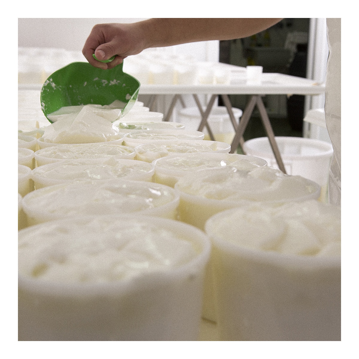 Queso de cabra madurado Carbonero 5