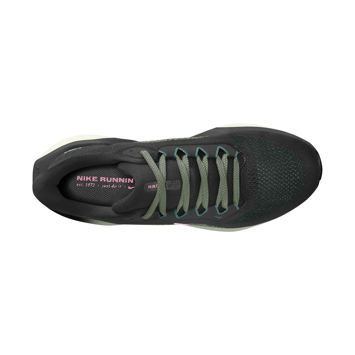 Sapatilhas de Running de Mulher Air Zoom Pegasus 41 Preto / Verde-2