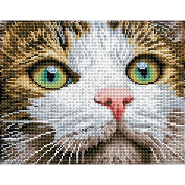 Imagem 0 de Quadro de Pintura com Diamantes Diamond Dotz Green Eyed Beauty