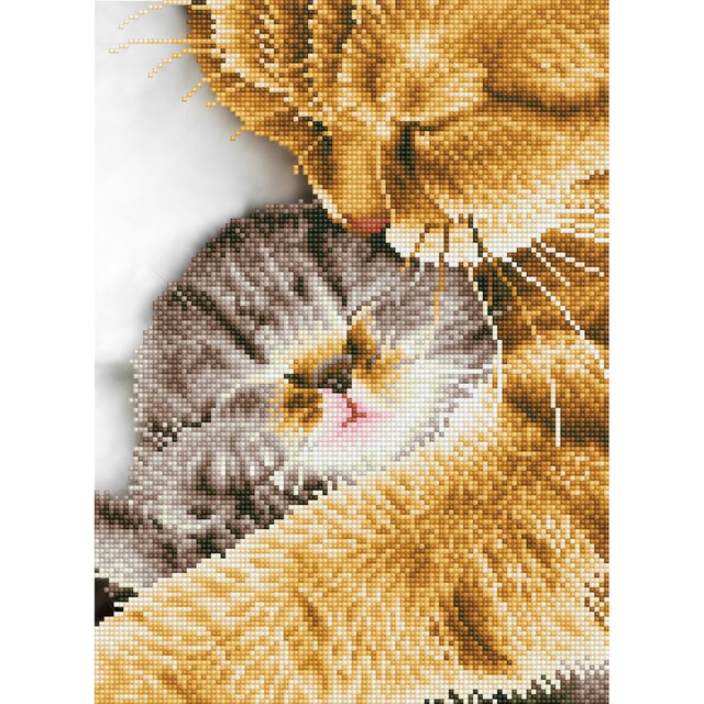 Imagem 0 de Quadro de Pintura com Diamantes Diamond Dotz Tender Moment