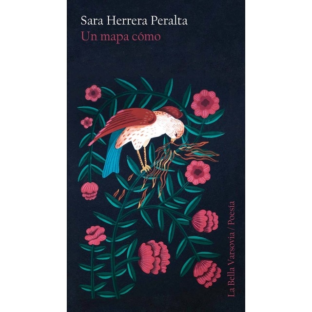 Imagem 0 de Un mapa cómo (Capa mole)