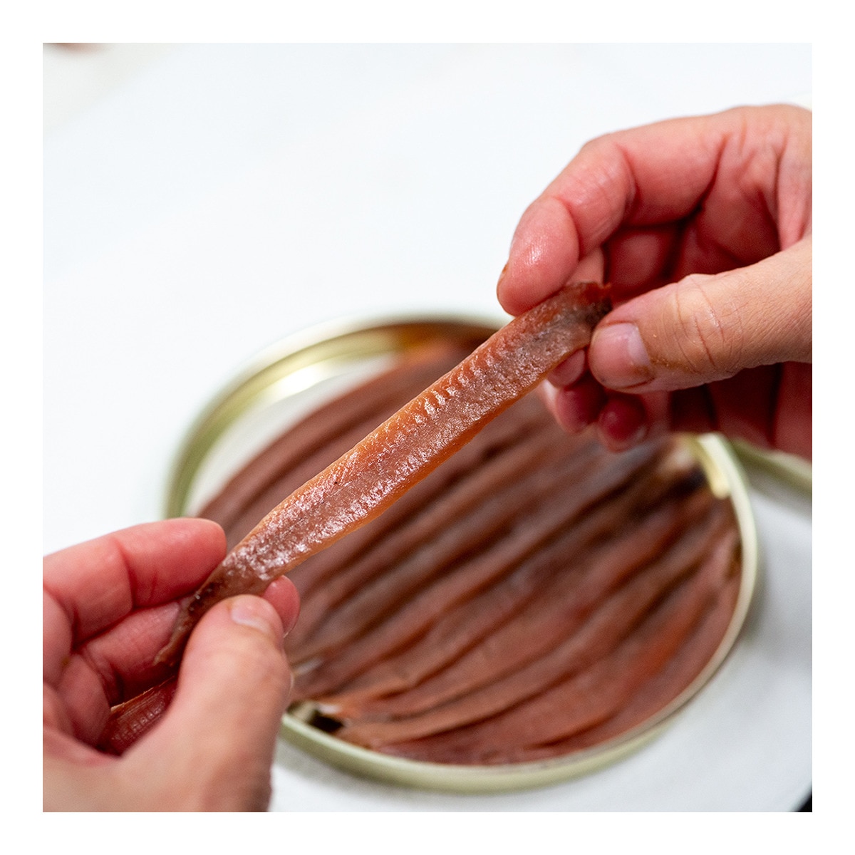 Anchoas despinadas del Cantábrico en aceite de oliva 13-15 filetes Hazas 6