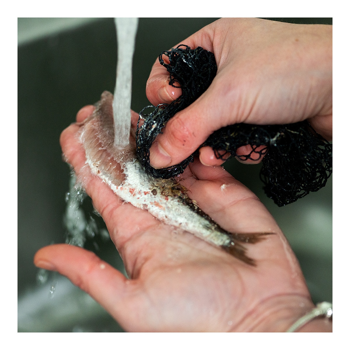 Anchoas despinadas del Cantábrico en aceite de oliva 13-15 filetes Hazas 4