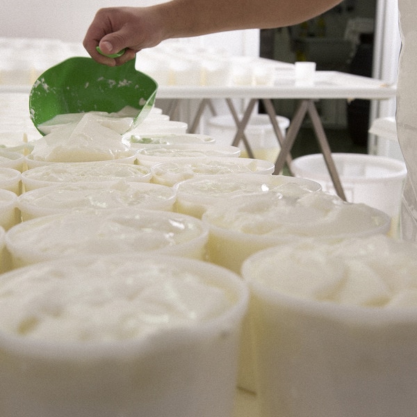 mit Kohle gereifter Rohmilch-Ziegenkäse Stück 200 g
