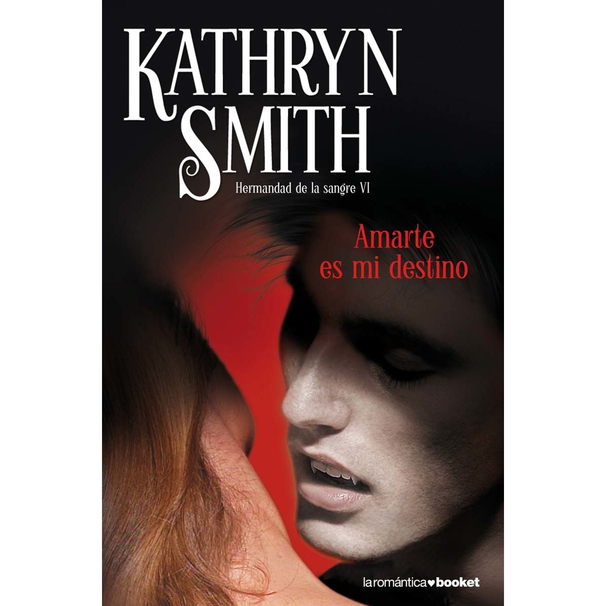 Amarte es mi destino (Bolso) (Capa mole) 1