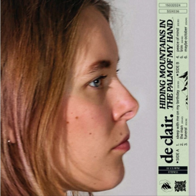 Imagen 0 de Hiding Mountains In The Palm Of My Hand (LP-Vinilo)