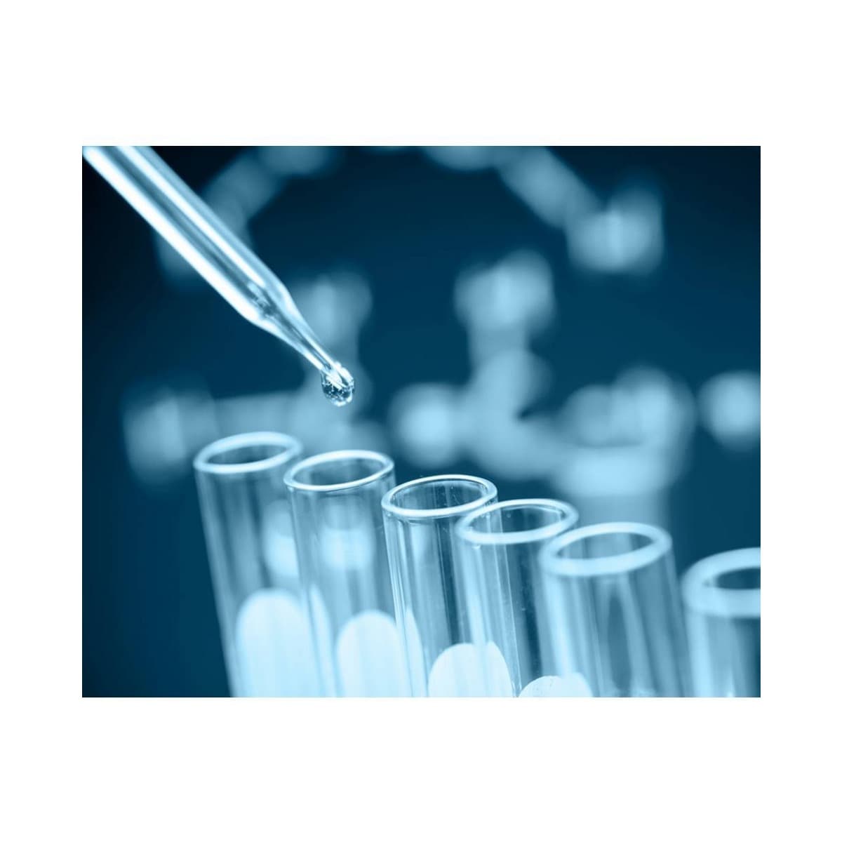 Amino Acid Shampoo 7