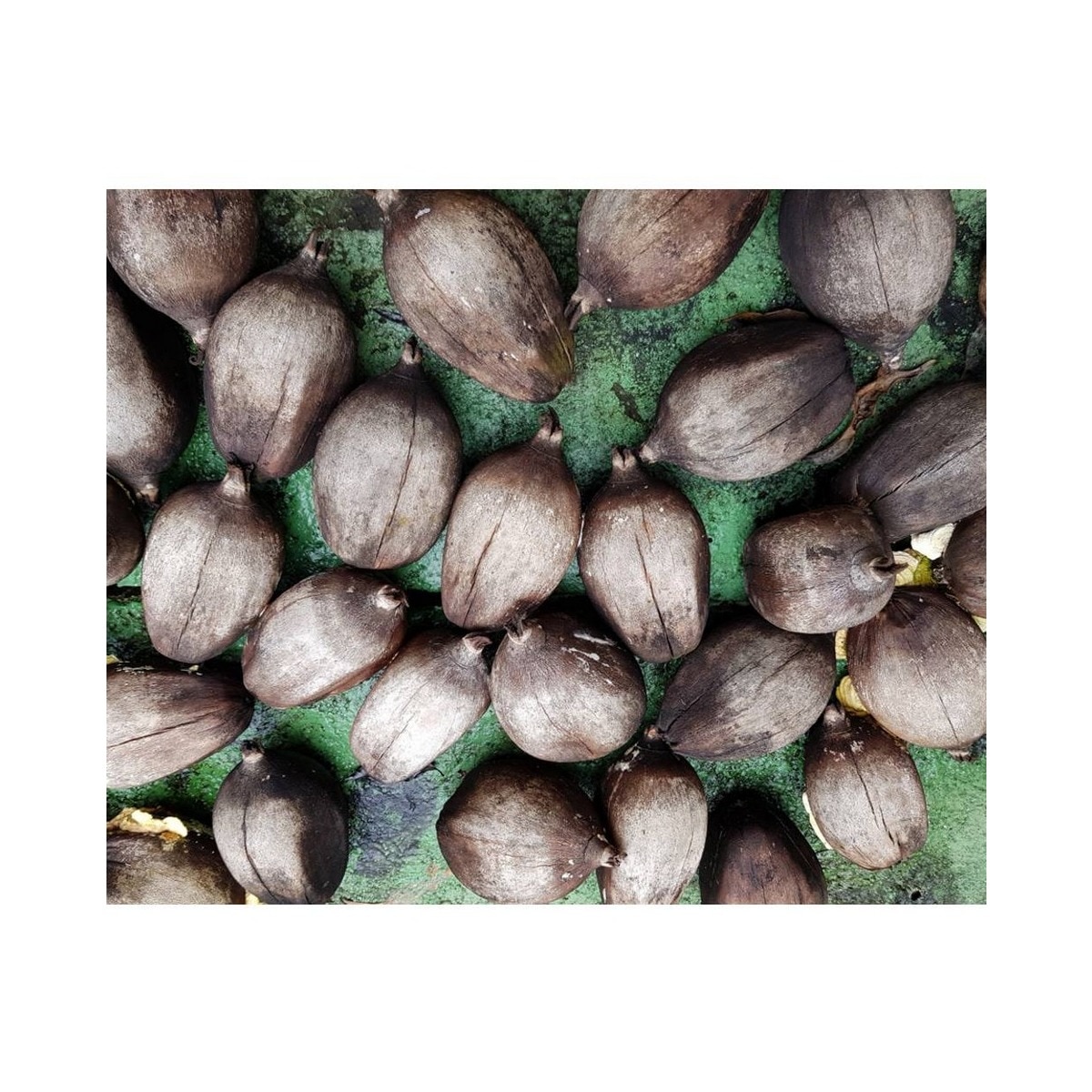 Smoothing Oil-Infused Leave-in Concentrate - 75 ml 5