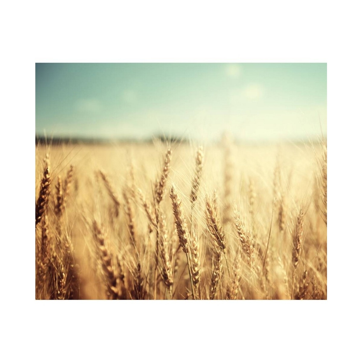 Creme with Silk Groom - 200 ml 7