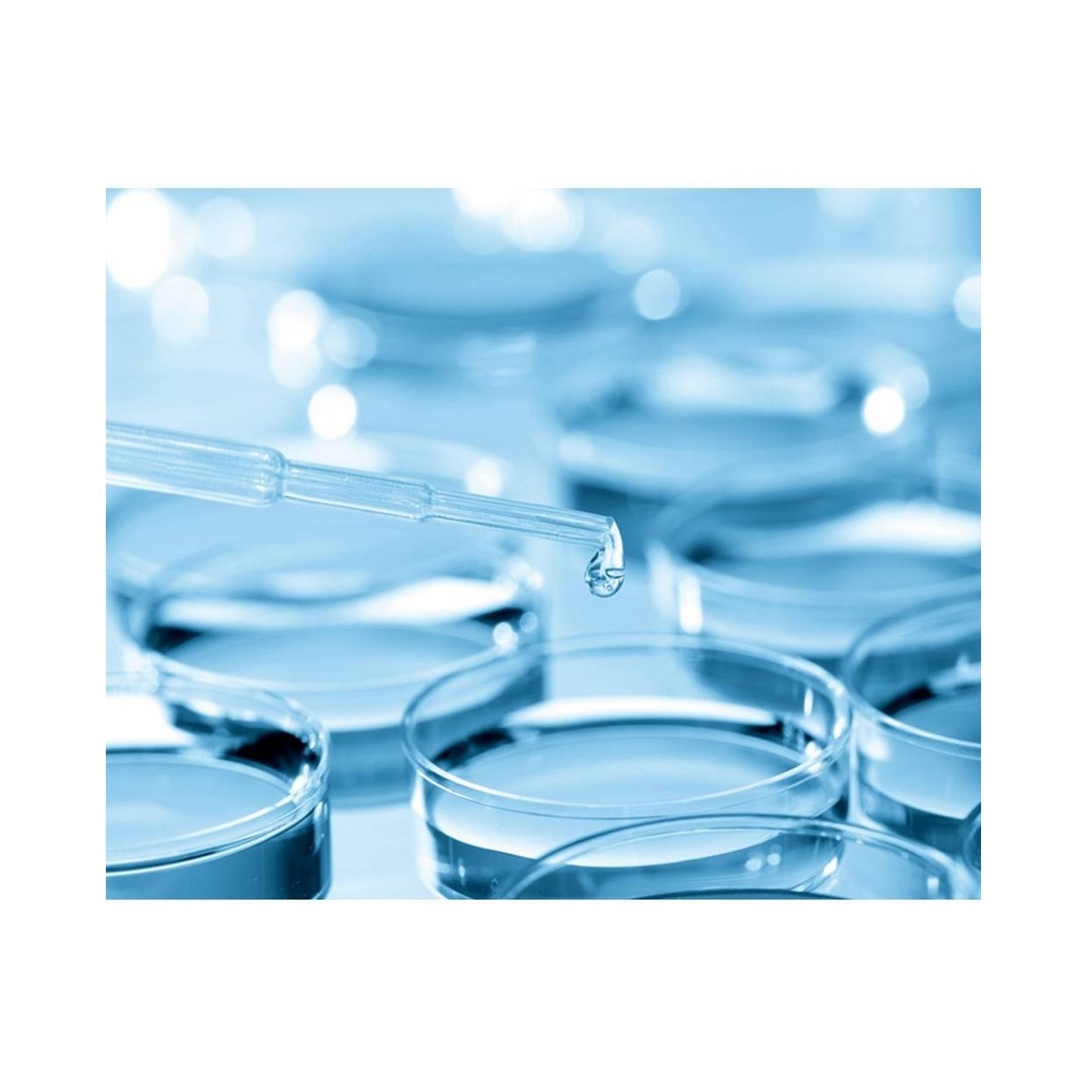 Creme with Silk Groom - 200 ml 8