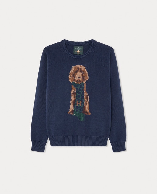 Imagen 0 de Jersey Harry de niño