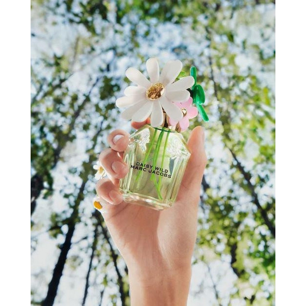 Daisy Wild Eau de Parfum - 50 ml 3