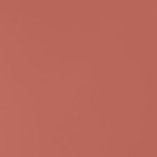1041 Caramel Rose