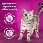 Tasty Mix comida húmeda en salsa para gatos selección de caja 12 sobres 85 g