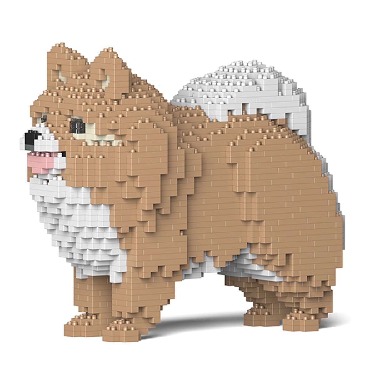 Puzzle 3D bloques de construcción  Pomeranian 1
