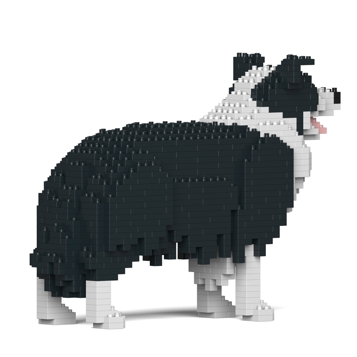 Blocos de Construção Jekca Border Collie 01S-M01 2