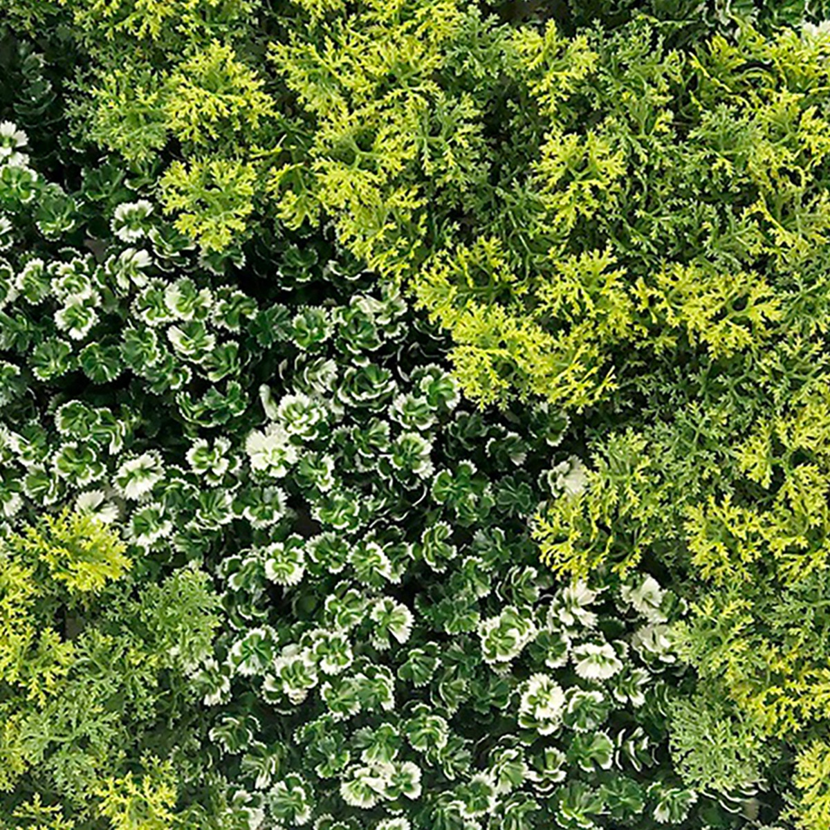 Jardín Vertical Artificial Jungle 4 losetas 50 x 50 cm Verde-2