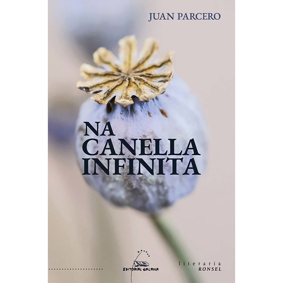 Na canella infinita (Capa mole com abas) 1