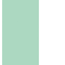 Menta