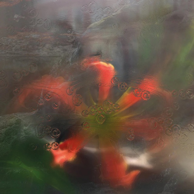 Imagen 0 de Germ in a population of buildings (LP-Vinilo)