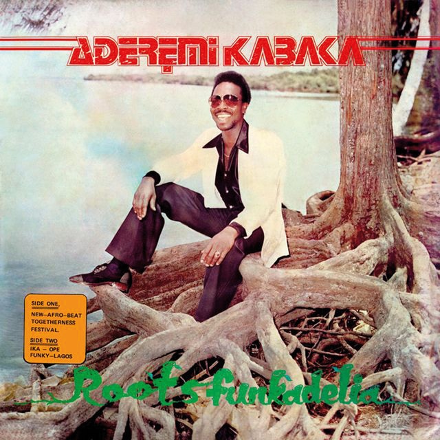 Imagen 0 de Roots funkadelia (LP-Vinilo)