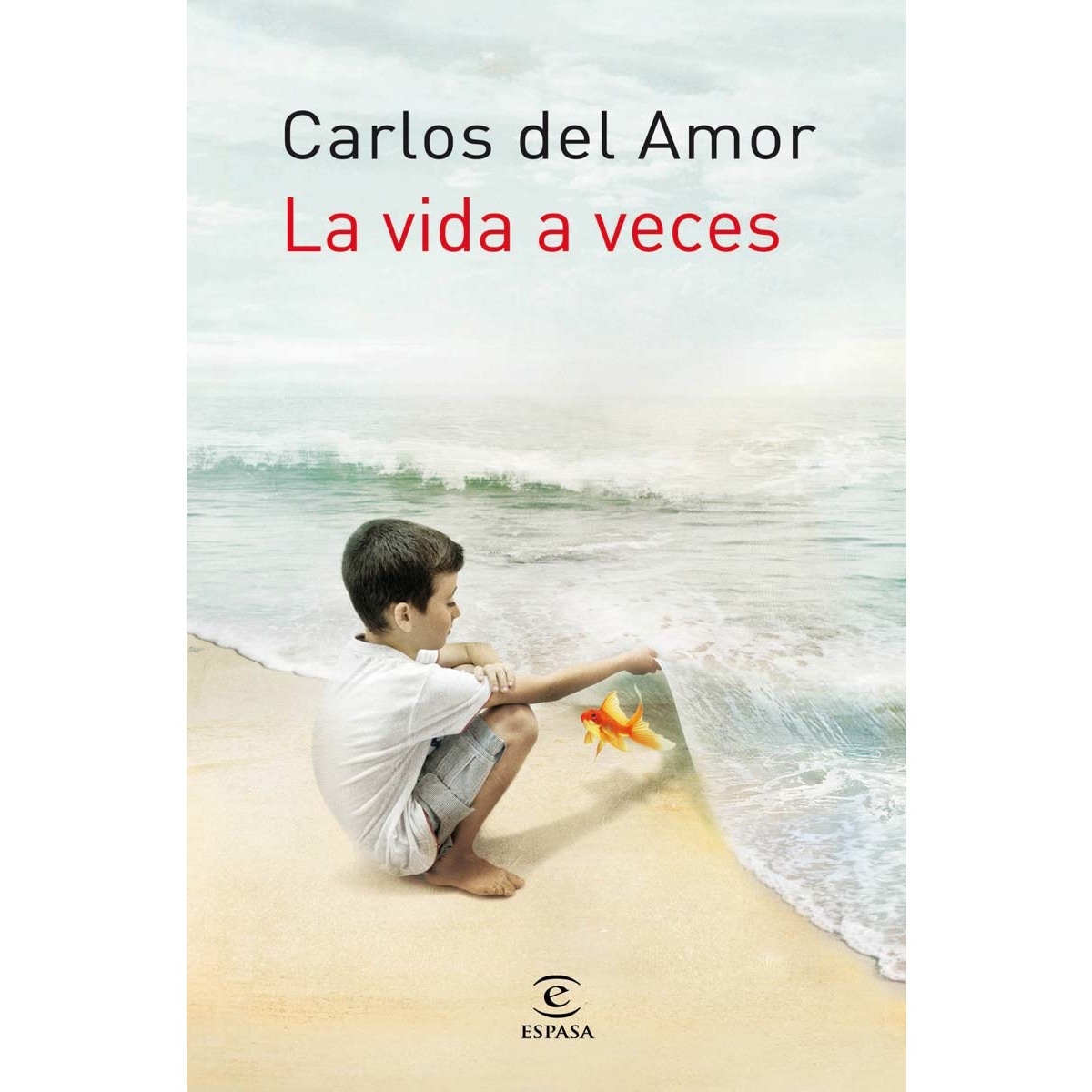 Imagen 0 de La vida a veces  (Tapa blanda con solapas)