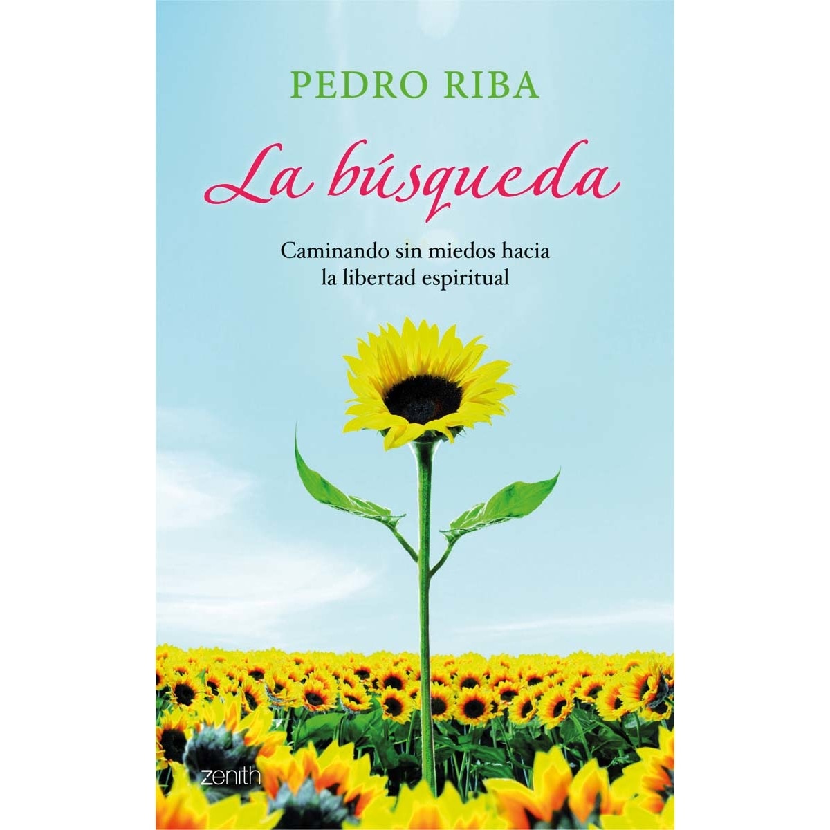 La búsqueda: Caminando sin miedos hacia la libertad espiritual(Tapa blanda) 1