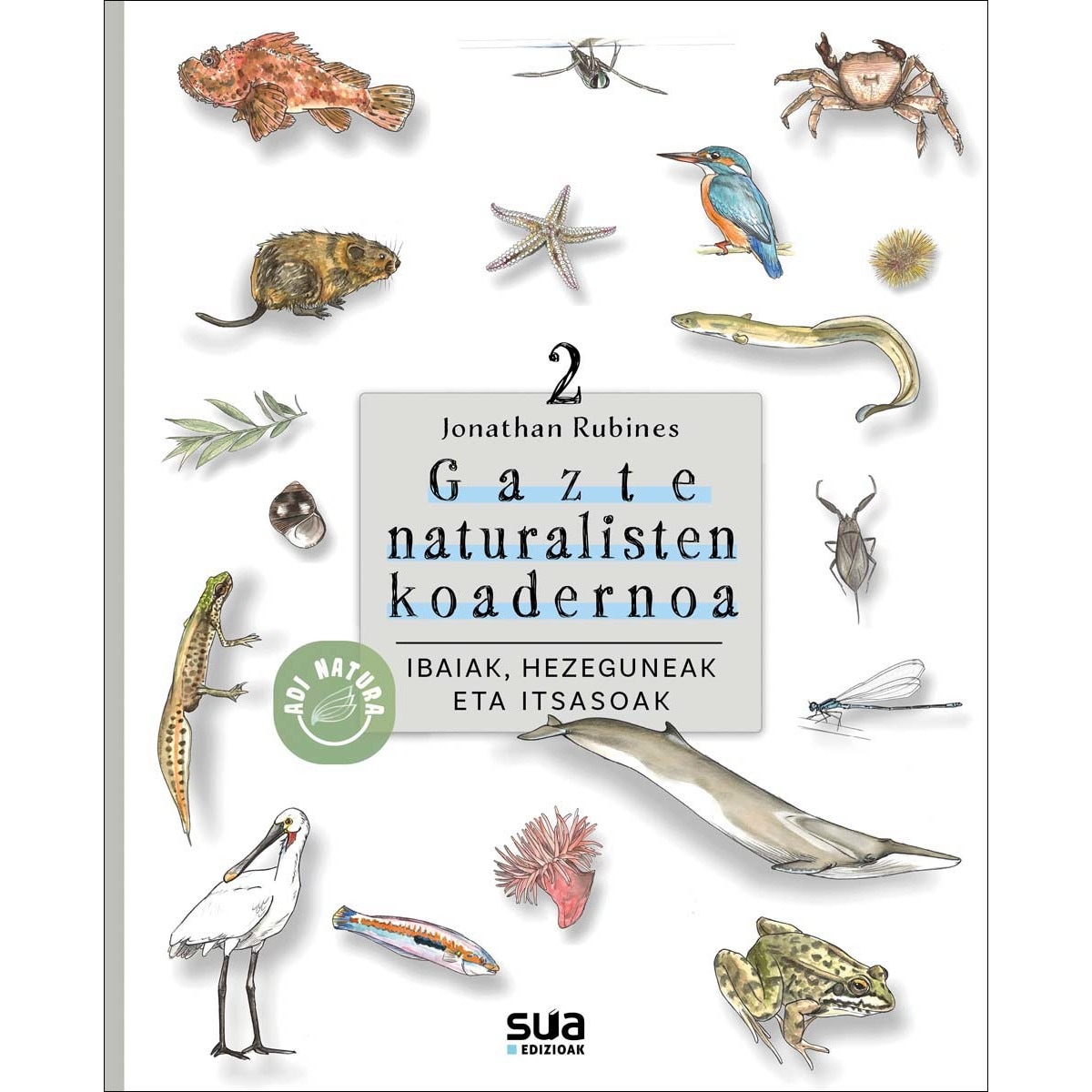 Imagem 0 de Ibaia, hezeguneak eta itsasoak: Gazte naturalisten koadernoa (Capa mole)