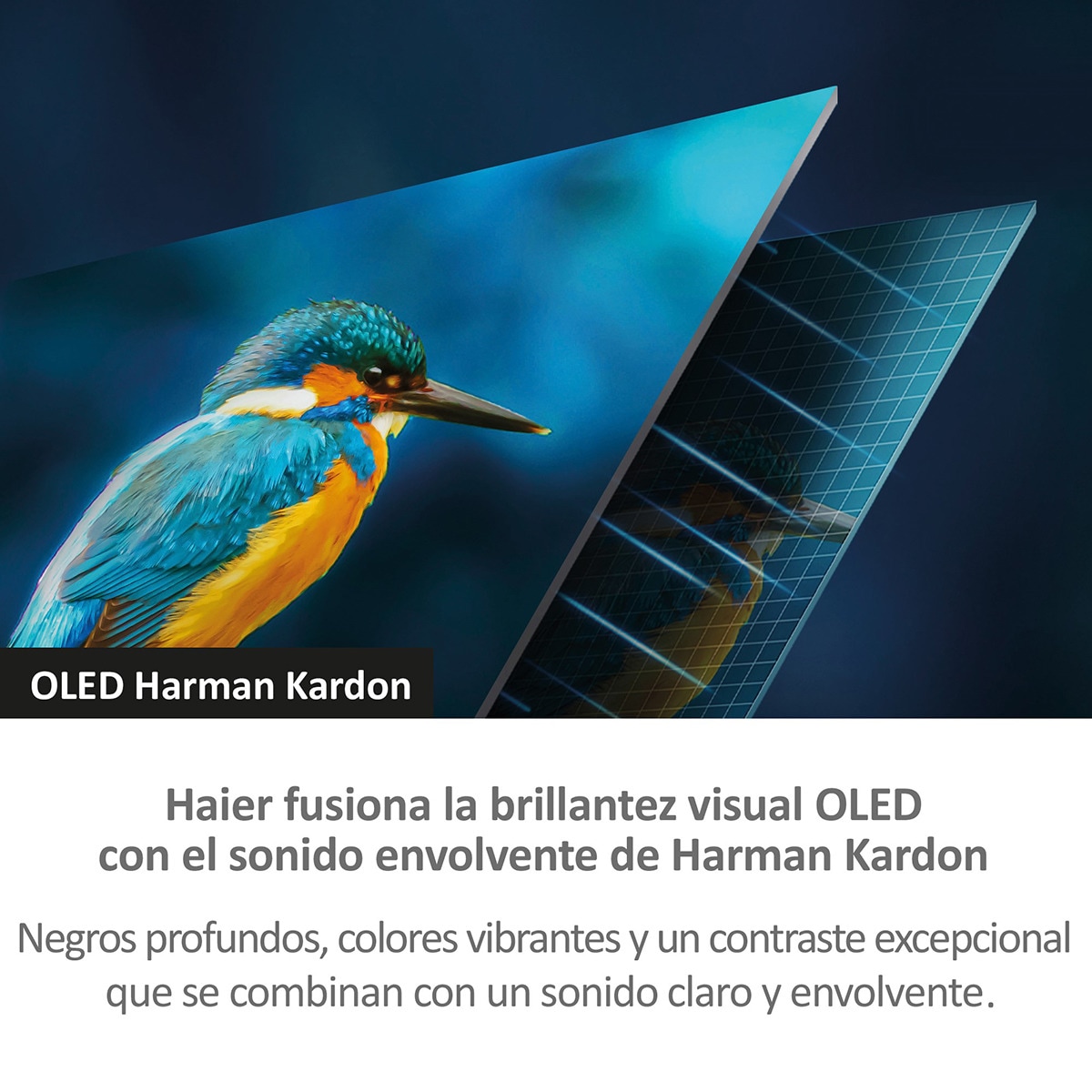TV OLED 165cm (65") Haier H65C900UX C90 Series, UHD 4K, Smart Google TV, Dolby Vision, Harman Kardon Plata-6