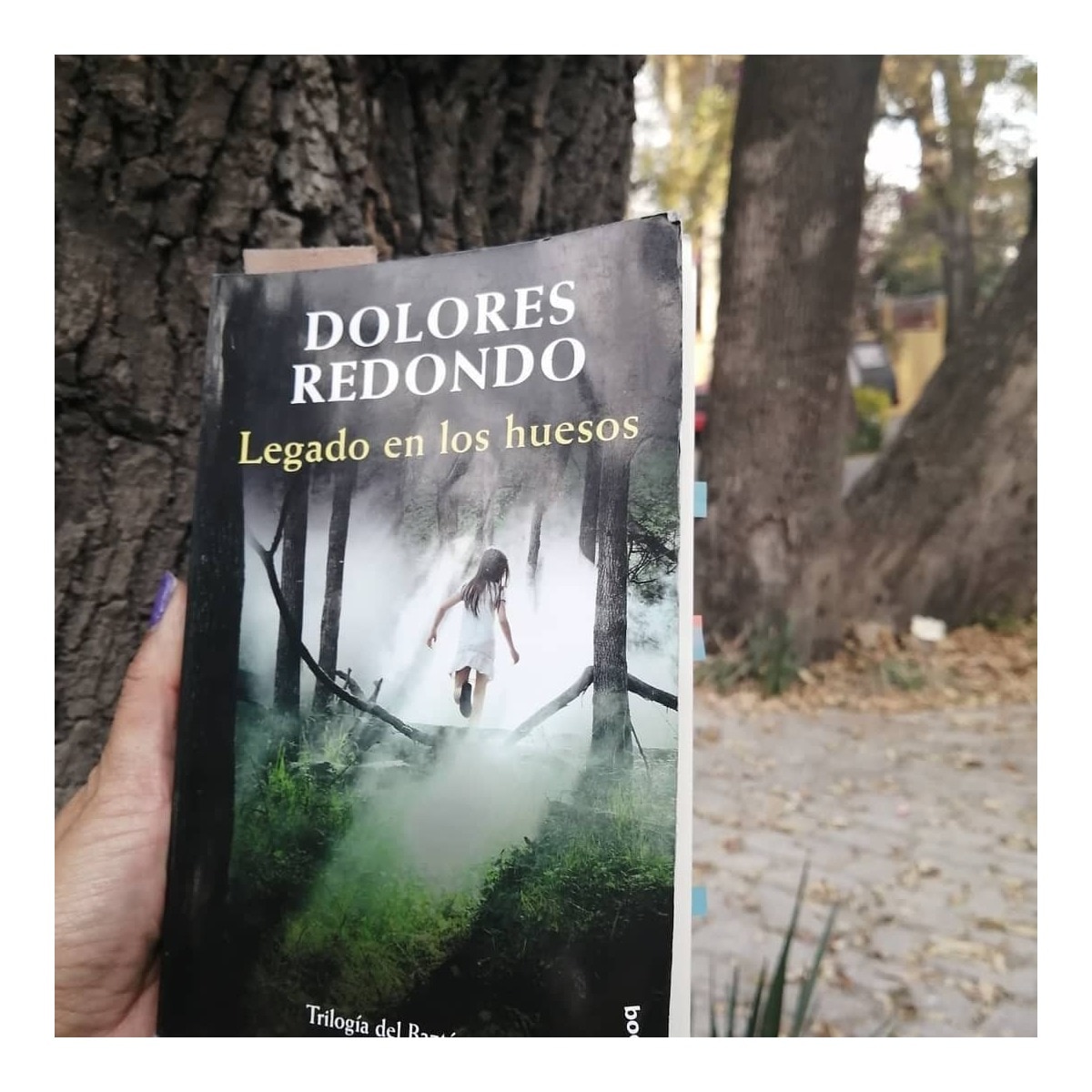 Legado en los huesos: Trilogía del Baztán, 2  (Bolsillo) (Tapa blanda) 2