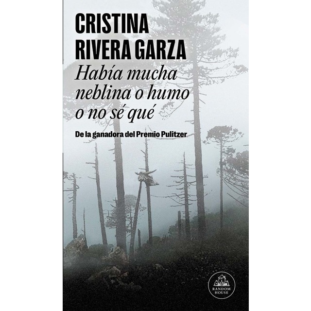 Imagem 0 de Había mucha neblina o humo o no sé qué (Mapa de las lenguas) (Capa mole)