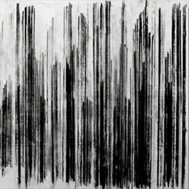 Imagen 0 de Vertikal (10 Year Anniversary Black) (2 LP-Vinilo)