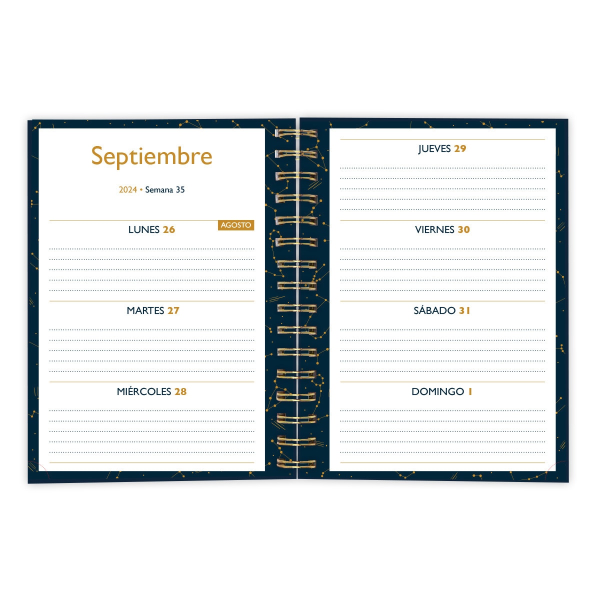 Agenda 2024-2025 (16 meses) constelación Draeger azul fuerte castellano Azul / Dorado-4