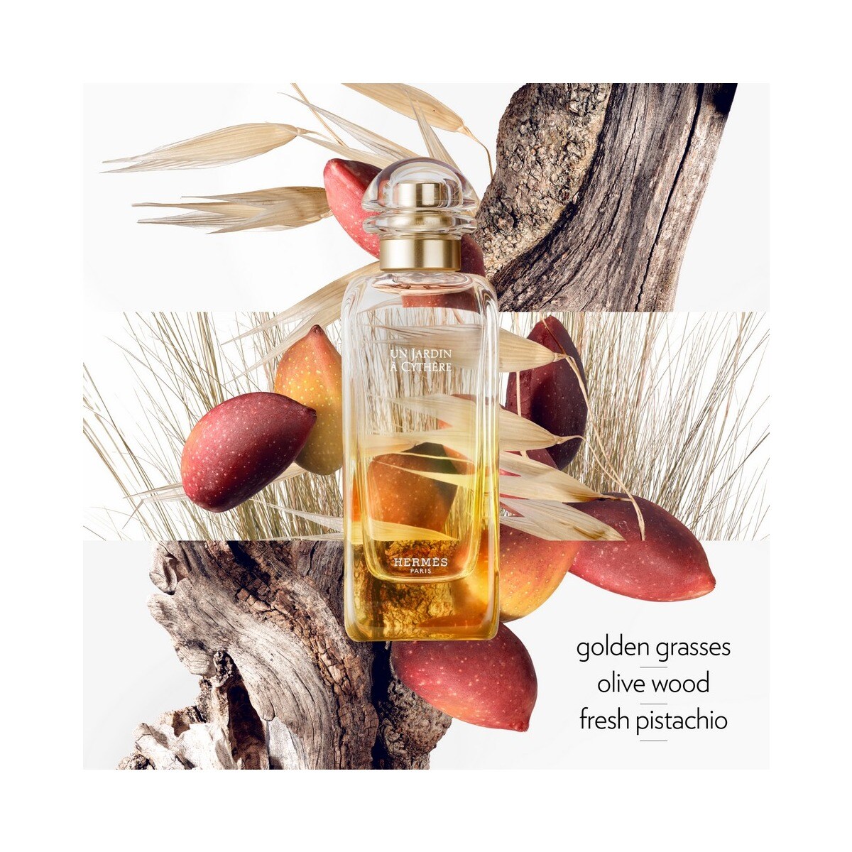 Óleo seco para corpo e cabelo Un Jardin à Cythère - 50ml 5