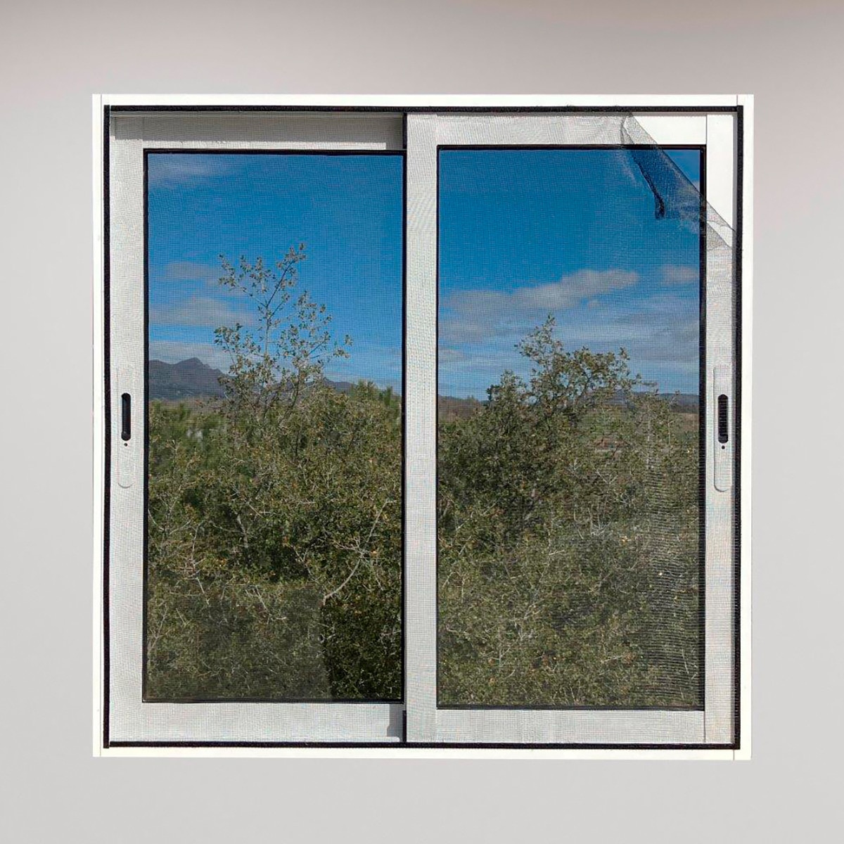 Mosquitera adhesiva para puertas y ventanas Negro-2
