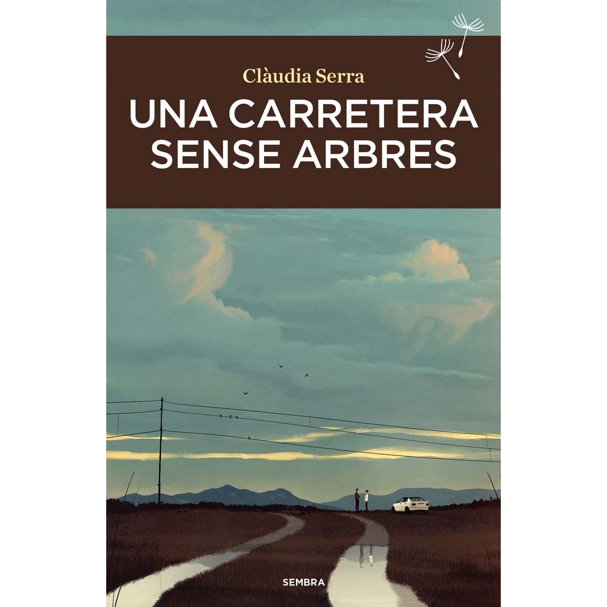 Una carretera sense arbres 1