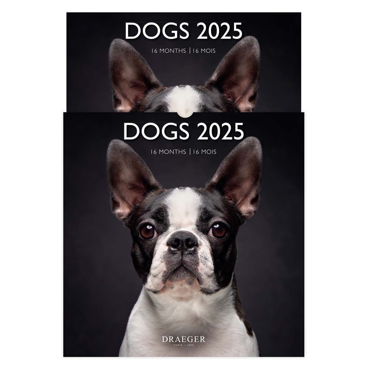 Calendário 2025 16 meses (setembro-dezembro)vista de mês por página com desenhos de cães Draeger Estampado-4