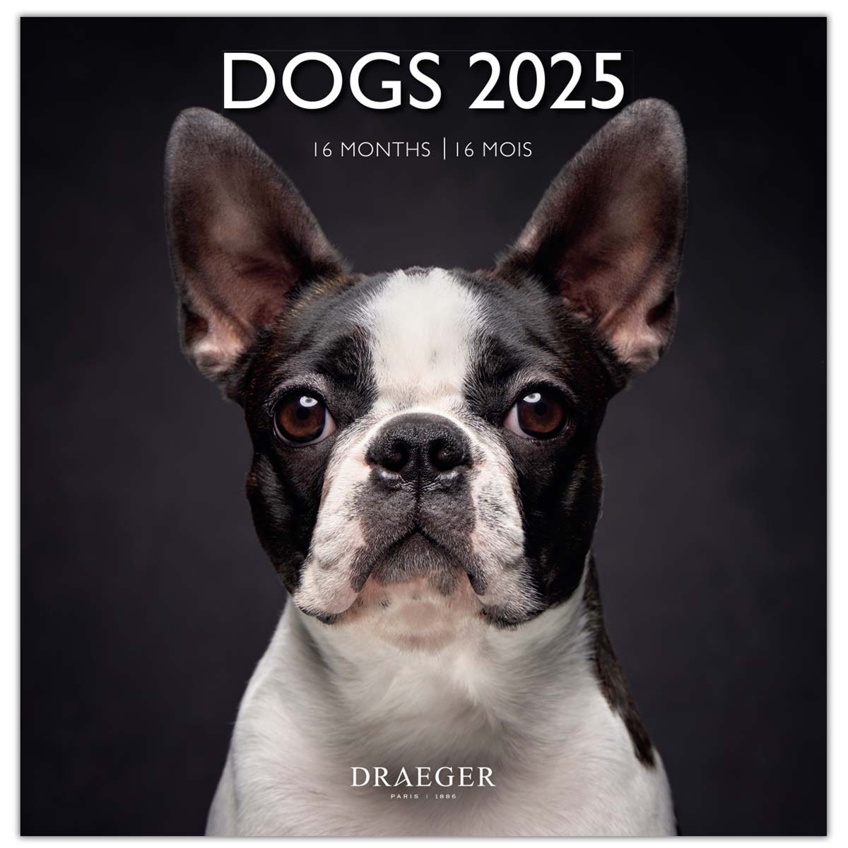 Calendário 2025 16 meses (setembro-dezembro)vista de mês por página com desenhos de cães Draeger Estampado-1
